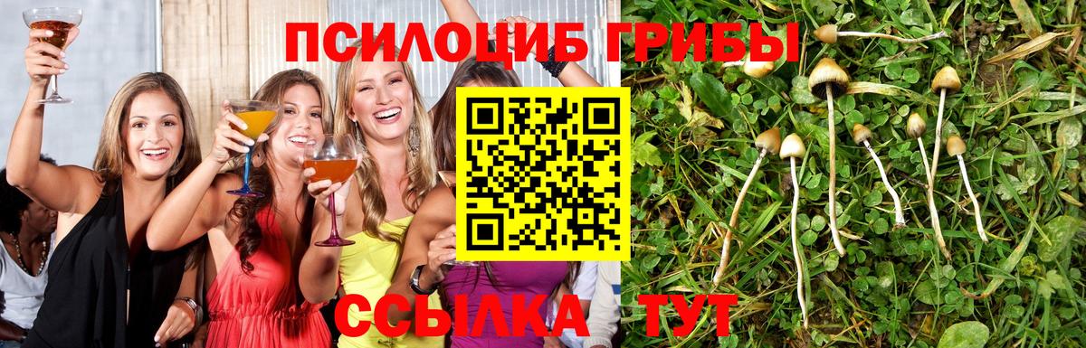 Галлюциногенные грибы ЛСД Киселёвск