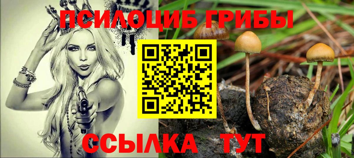 Киселёвск  цены наркотик  Вход с VPN  Галлюциногенные грибы MAGIC MUSHROOMS 