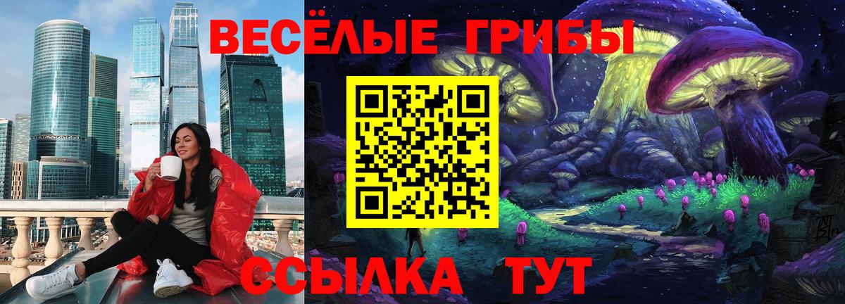 Альфа ПВП Киселёвск